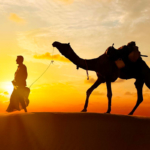 camel ride