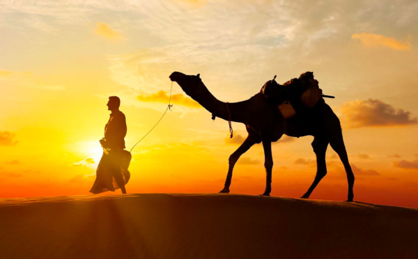 camel ride