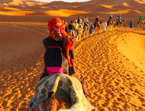 Private 3 Day Desert Tour Starting From Fes To Marrakech Via The Desert