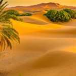 marrakedch desert trip